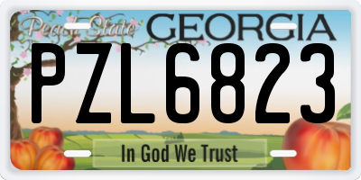 GA license plate PZL6823