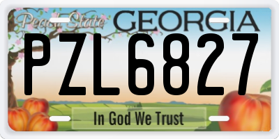 GA license plate PZL6827