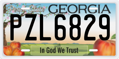 GA license plate PZL6829