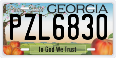 GA license plate PZL6830