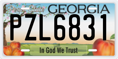 GA license plate PZL6831