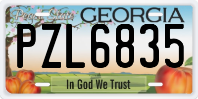 GA license plate PZL6835
