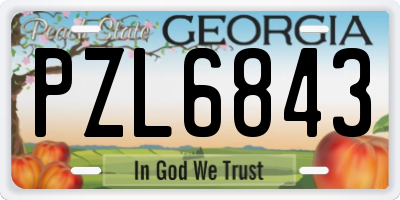 GA license plate PZL6843