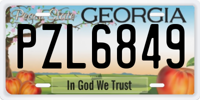 GA license plate PZL6849