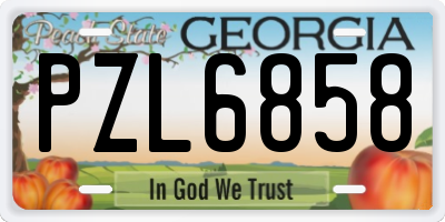 GA license plate PZL6858