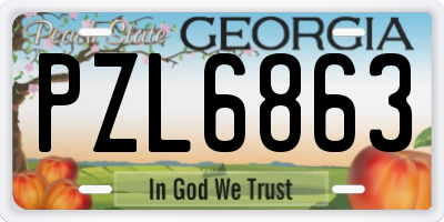 GA license plate PZL6863