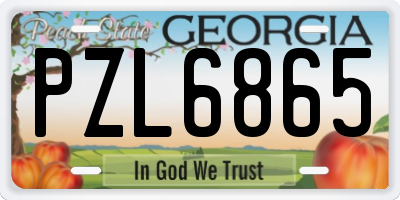 GA license plate PZL6865