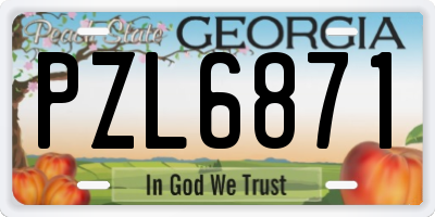 GA license plate PZL6871