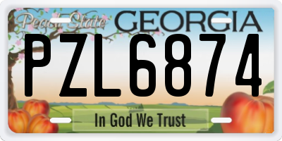 GA license plate PZL6874