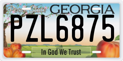 GA license plate PZL6875