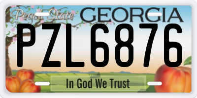 GA license plate PZL6876