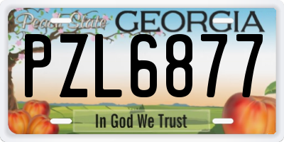 GA license plate PZL6877