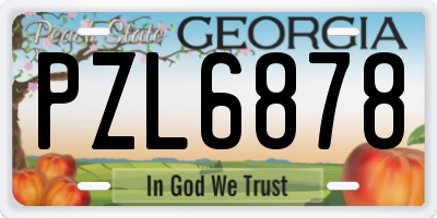 GA license plate PZL6878