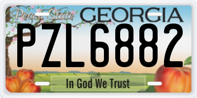 GA license plate PZL6882