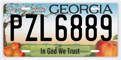 GA license plate PZL6889