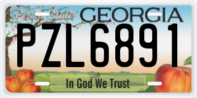 GA license plate PZL6891