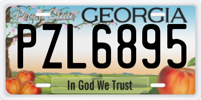 GA license plate PZL6895