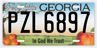 GA license plate PZL6897