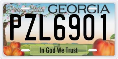 GA license plate PZL6901