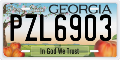 GA license plate PZL6903