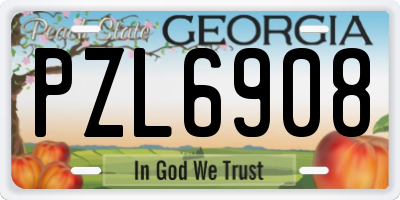 GA license plate PZL6908