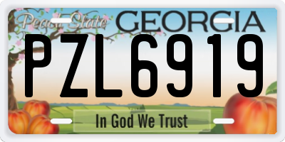 GA license plate PZL6919