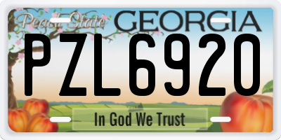 GA license plate PZL6920