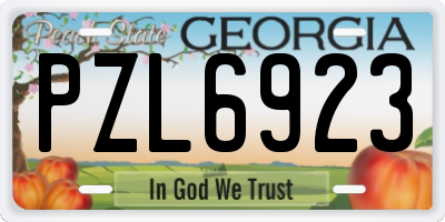 GA license plate PZL6923
