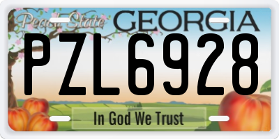 GA license plate PZL6928
