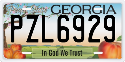 GA license plate PZL6929