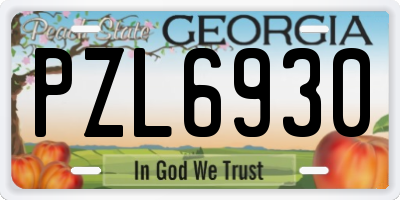 GA license plate PZL6930