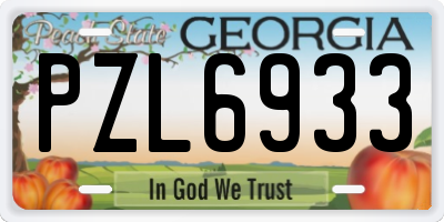 GA license plate PZL6933