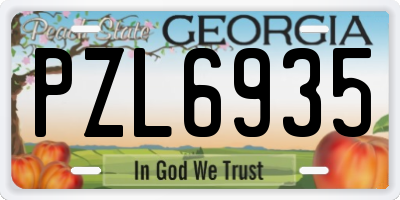 GA license plate PZL6935