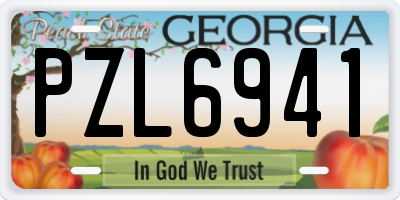 GA license plate PZL6941
