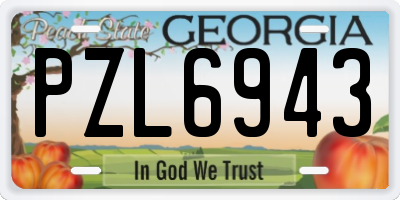 GA license plate PZL6943