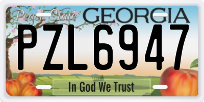 GA license plate PZL6947