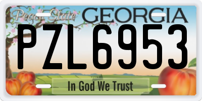 GA license plate PZL6953
