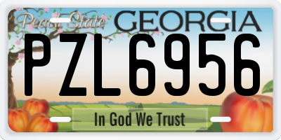 GA license plate PZL6956