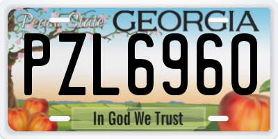 GA license plate PZL6960