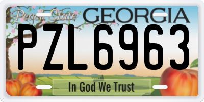 GA license plate PZL6963
