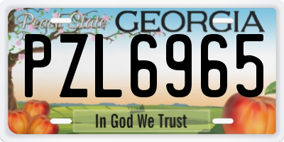 GA license plate PZL6965