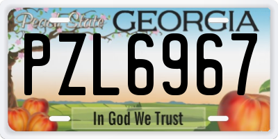GA license plate PZL6967