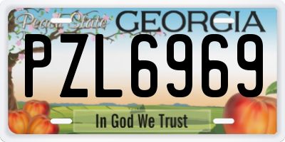 GA license plate PZL6969