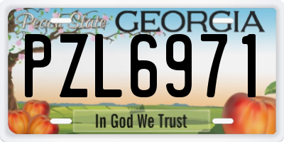 GA license plate PZL6971