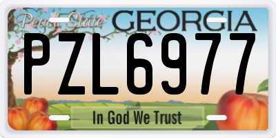 GA license plate PZL6977