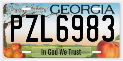 GA license plate PZL6983