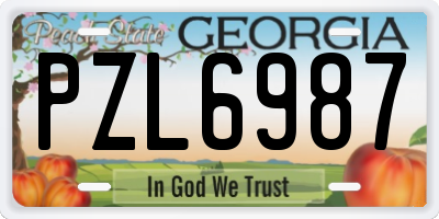 GA license plate PZL6987