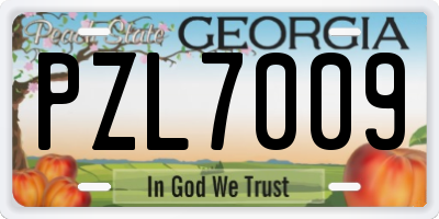 GA license plate PZL7009
