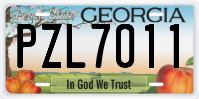 GA license plate PZL7011