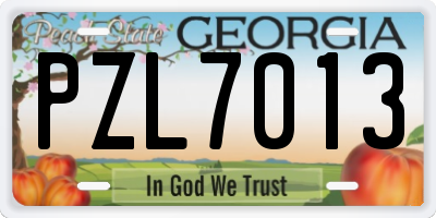 GA license plate PZL7013